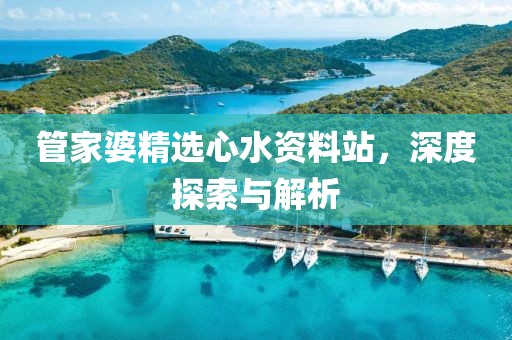 管家婆精选心水资料站，深度探索与解析
