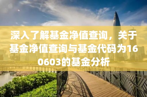 深入了解基金净值查询，关于基金净值查询与基金代码为160603的基金分析