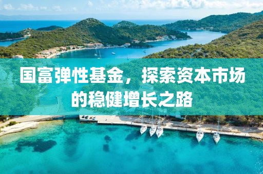 国富弹性基金，探索资本市场的稳健增长之路
