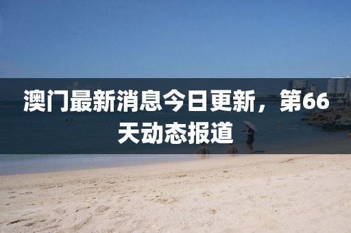 澳门最新消息今日更新，第66天动态报道