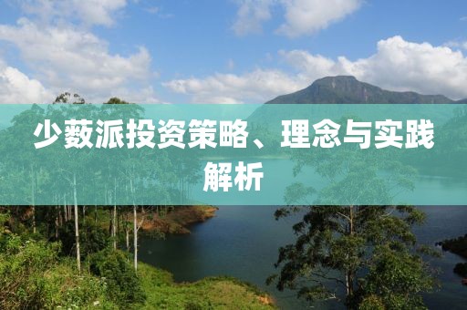 少薮派投资策略、理念与实践解析