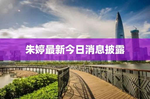 朱婷最新今日消息披露