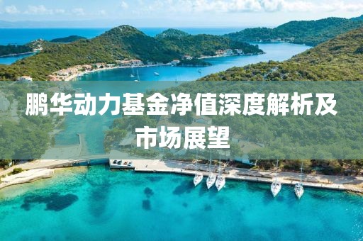 鹏华动力基金净值深度解析及市场展望