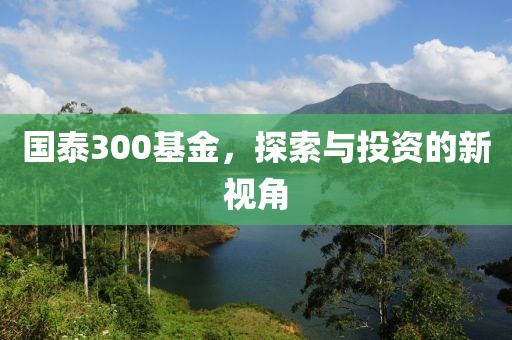 国泰300基金，探索与投资的新视角