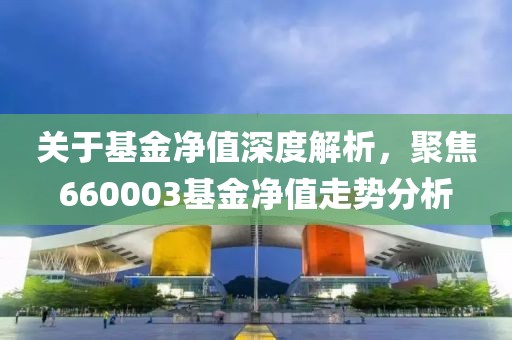 关于基金净值深度解析，聚焦660003基金净值走势分析