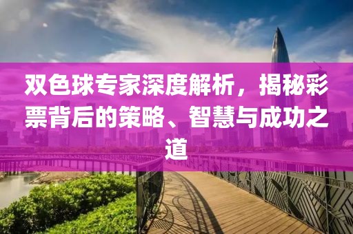 双色球专家深度解析，揭秘彩票背后的策略、智慧与成功之道