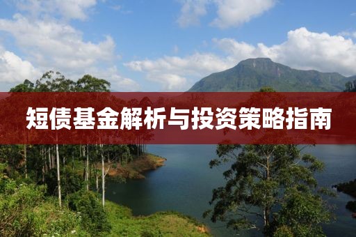 短债基金解析与投资策略指南