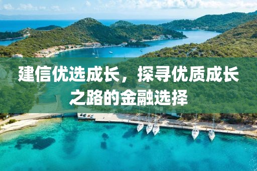 建信优选成长，探寻优质成长之路的金融选择