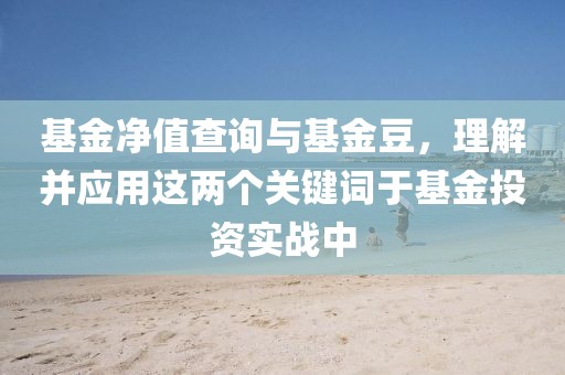 基金净值查询与基金豆，理解并应用这两个关键词于基金投资实战中