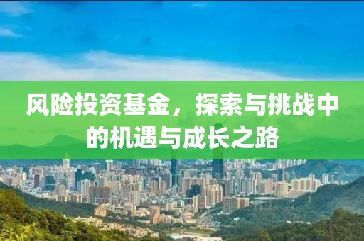 风险投资基金，探索与挑战中的机遇与成长之路