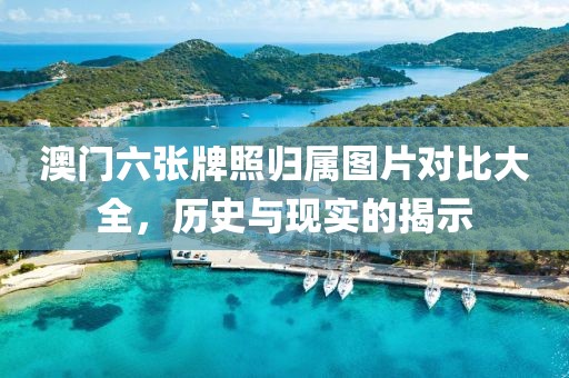 澳门六张牌照归属图片对比大全，历史与现实的揭示