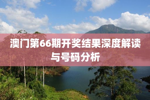 澳门第66期开奖结果深度解读与号码分析