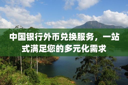 中国银行外币兑换服务，一站式满足您的多元化需求