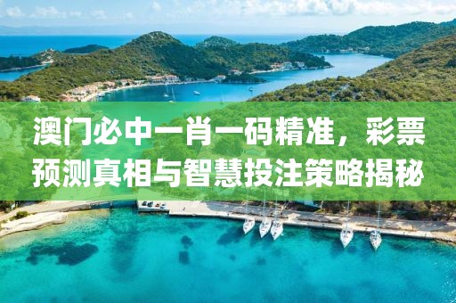 澳门必中一肖一码精准，彩票预测真相与智慧投注策略揭秘
