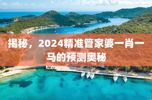揭秘，2024精准管家婆一肖一马的预测奥秘