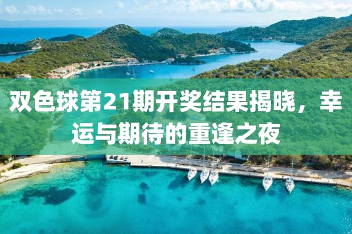 双色球第21期开奖结果揭晓，幸运与期待的重逢之夜