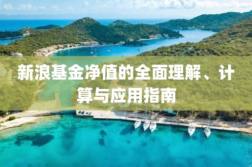 新浪基金净值的全面理解、计算与应用指南