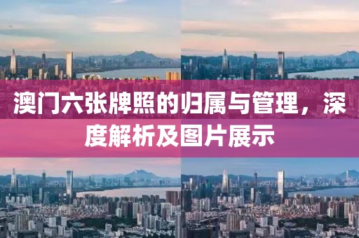 澳门六张牌照的归属与管理，深度解析及图片展示